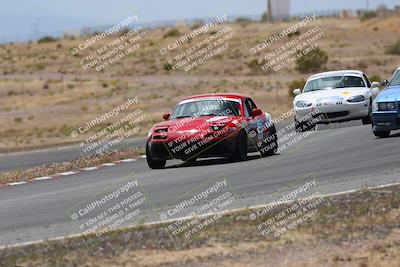 media/May-03-2025-Lucky Dog Racing (Sat) [[206de64b9d]]/Turn 6 (150pm-230pm)/